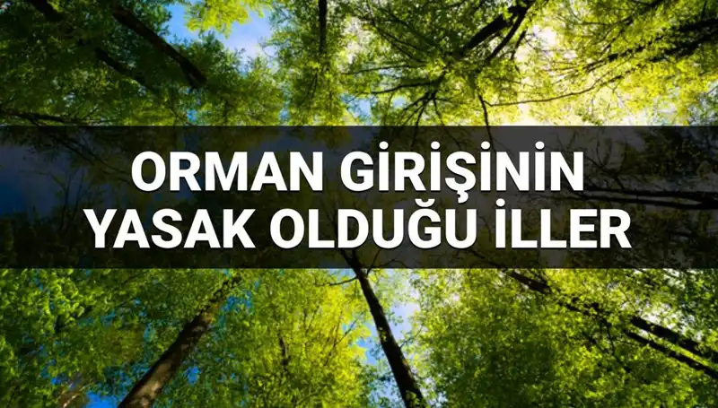 2025 Yılında Ormana Girmek Yasaklanan İller: Uygulamanın Sebepleri Nelerdir?