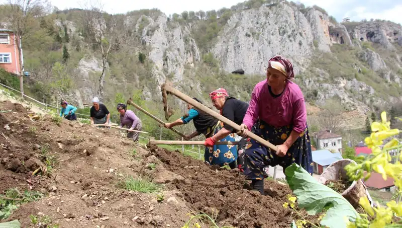 Zorlu Mesai Başladı: Sepetler ve Kazmalar İle Dikkat Çeken Bir Gün