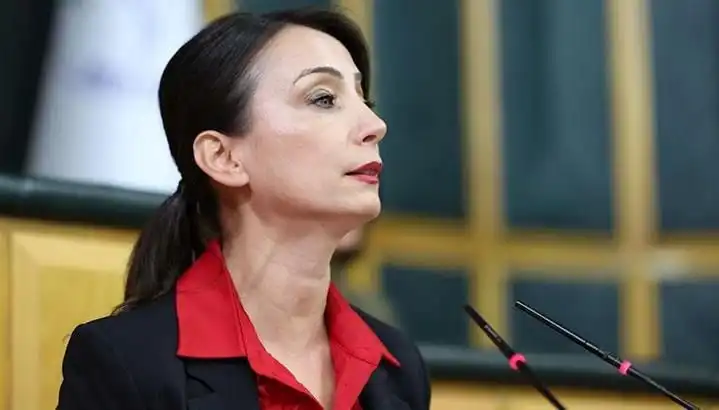Öcalan'dan Tarihi Silah Bırakma Çağrısı ve DEM Parti'nin Siyasi Tur Planları