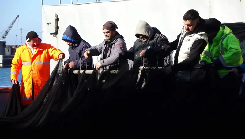 Hamsi Avında Şok Gelişme: Tekne Sahipleri Erken Veda Etti!