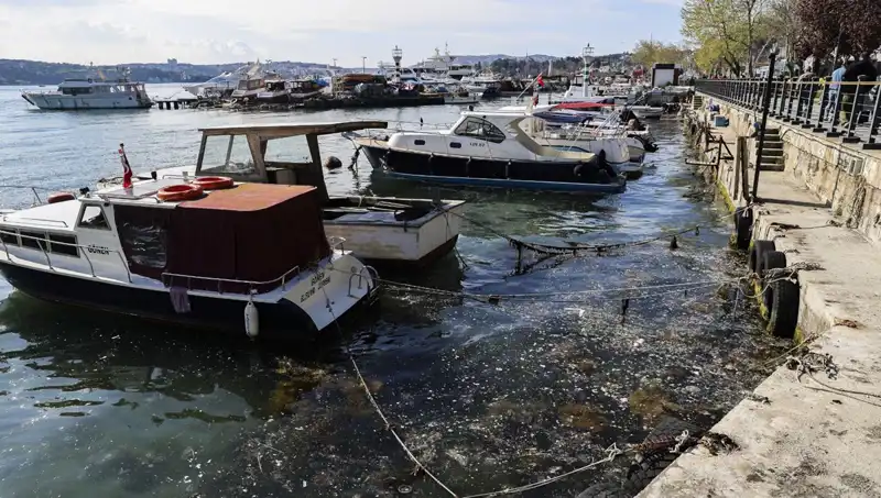 İstanbul'da Müsilaj Alarmı: Denizdeki Kabus Yeniden Uyanıyor