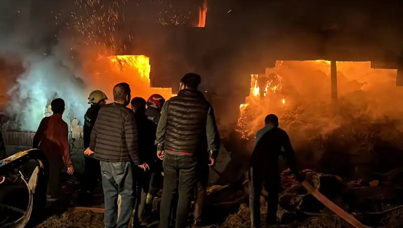 Bolu'da Dehşet Veren Ahır Yangını: Hayvanlar ve Mülkler Tehlikede