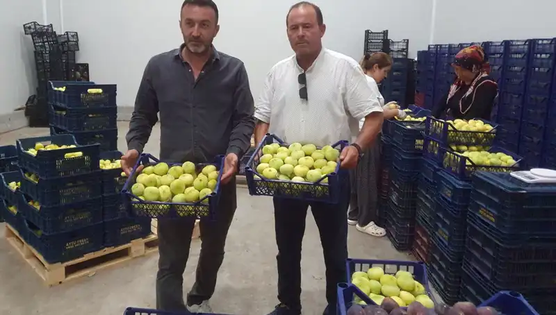 Mersinli Çiftçiler İçin Yeni Bir Umut: 20 TL’den İhraç Edilen Ürünler