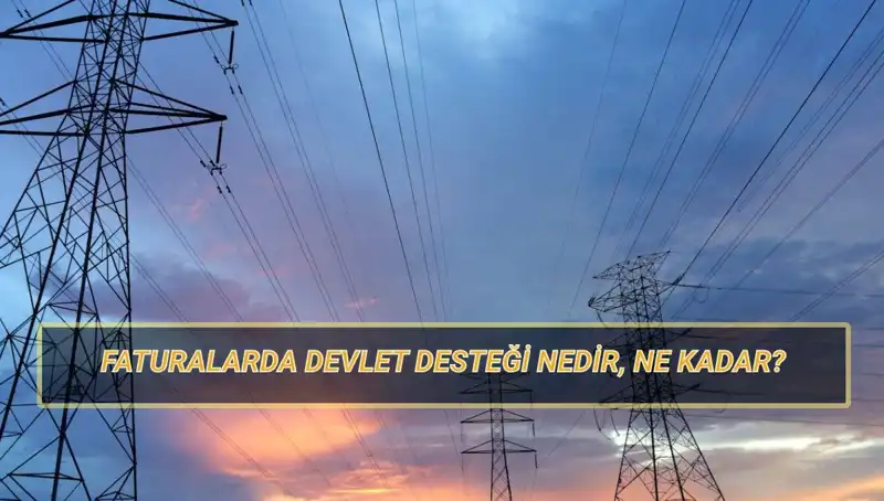 Doğalgaz ve Elektrik Faturası Devlet Desteği 2025: Hangi Aileler Yararlanabilir?