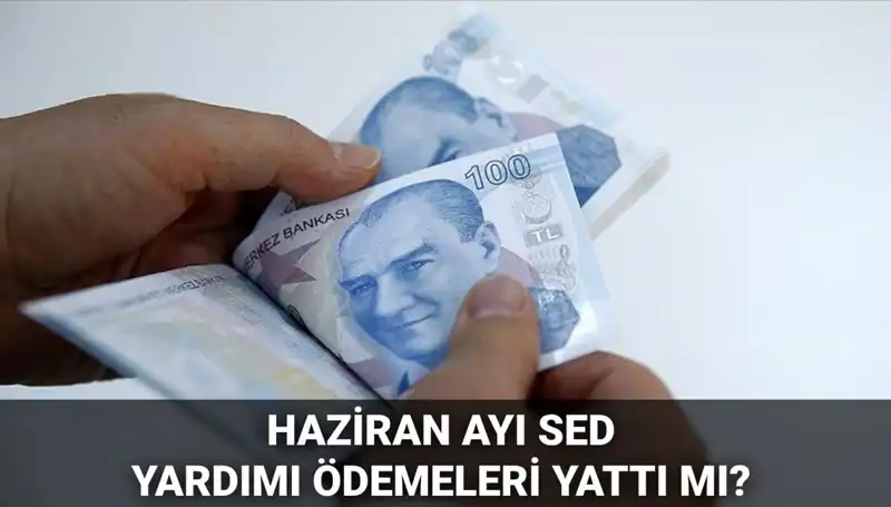 2025 Haziran SED Ödemeleri Ne Zaman Yatacak? Sorgulama Rehberi