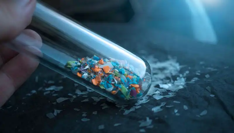 Mikroplastiklerin İnsan Beyninde Neden Olduğu Etkiler Üzerine Şok Edici Araştırmalar
