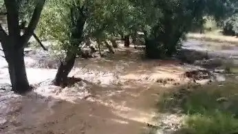 Mersin'de Şiddetli Yağışlar Sele Sebep Oldu: Hayatlar Alt Üst Oldu