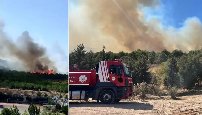 Gebze’de Yangın Alarmlarını Tetikleyen Orman Yangını: Sebepler ve Sonuçlar
