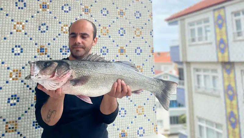 7,5 Kiloluk Dev Levrek: Balıkçıların Hayalini Gerçekleştiren O An!