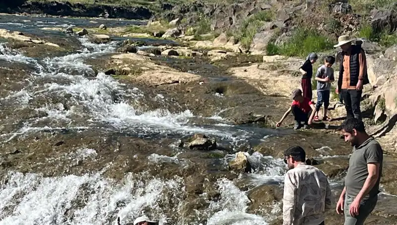 İnci Kefalinin Büyüleyici Göçü: Turistlerin Çağrısına Kulak Verin!