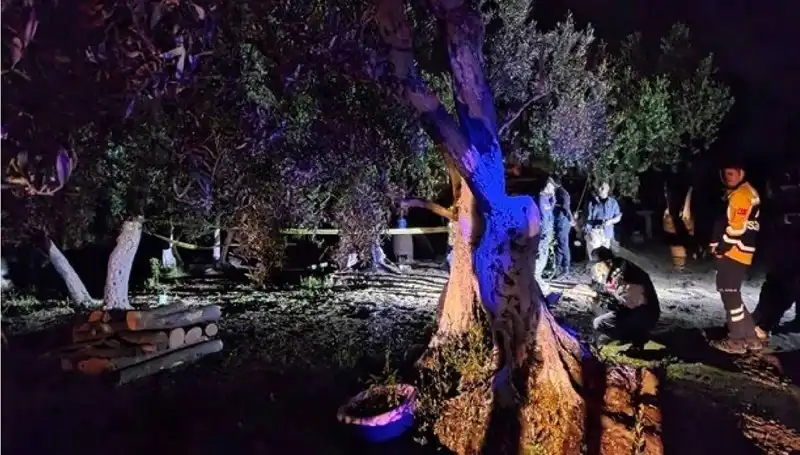 Çiftlikteki Baltalı Vahşete İlişkin Şok Gelişme: Bir Tutuklama Gerçekleşti!