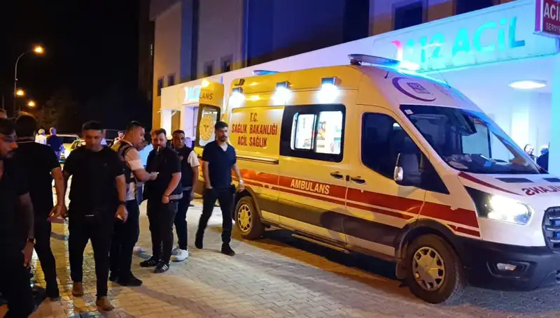 Kardeş Kavgasında Facia: Barıştırmaya Çalışan Genç Hayatını Kaybetti