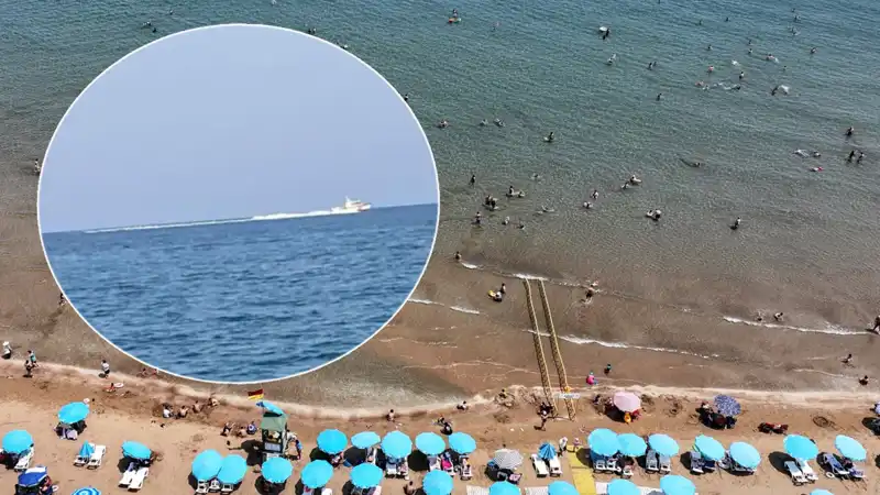 Plajda Köpek Balığı Korkusu: Güvenlik Güçleri Harekete Geçti, Gerçek Farklı Çıktı