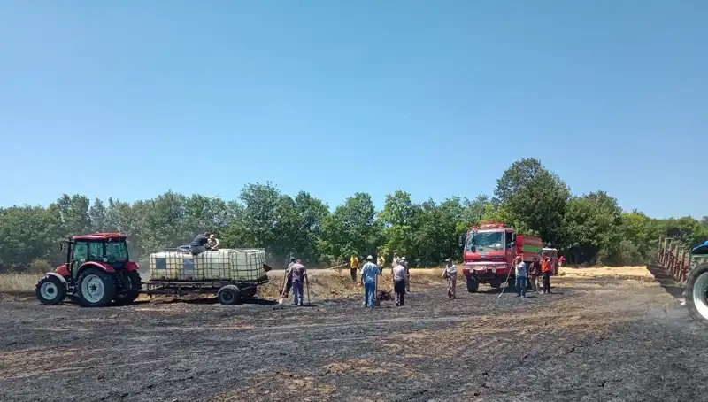 Buğday Tarlasında Çıkan Yangın, 10 Dönümlük Alanı Küle Çevirerek Tarım Üretimini Tehdit Ediyor