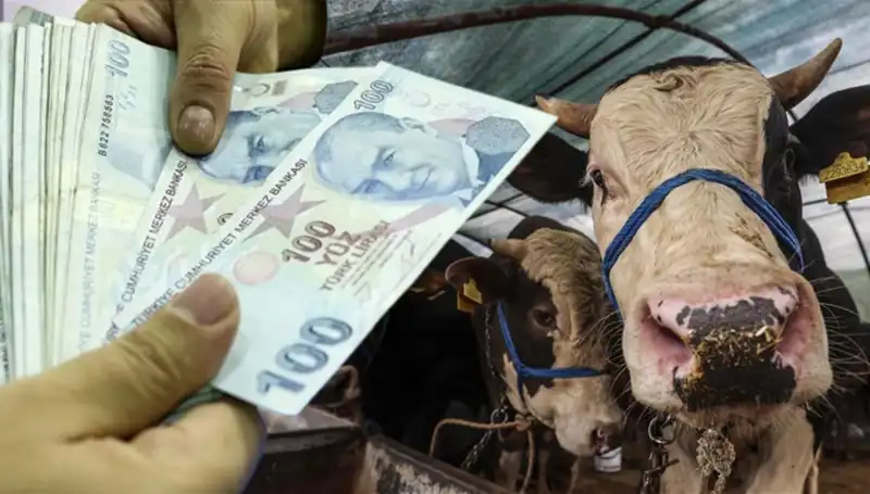 Kurban Bayramı'ndan Önce Emekli ve Memur Maaşları Ne Zaman Yatacak?