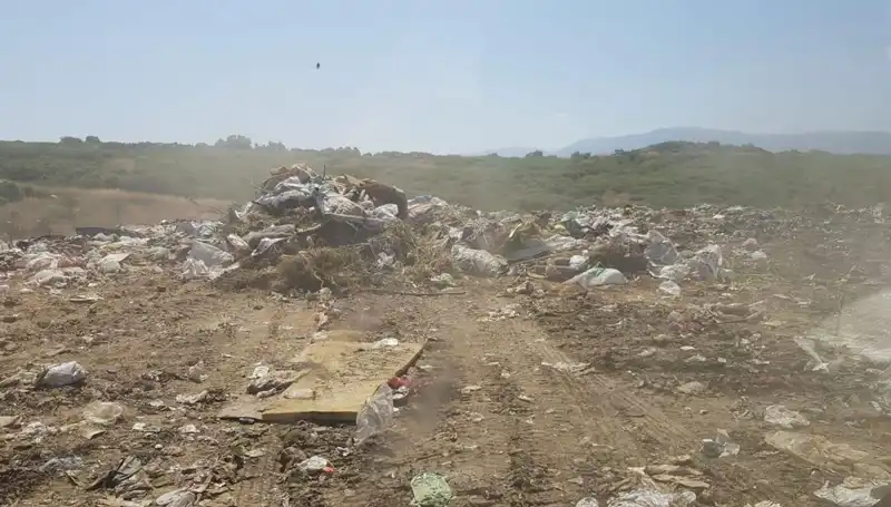 İzmir Büyükşehir Belediyesi'ne 9 Milyon Lira Ceza: İşte Gerekçeleri ve Sonuçları