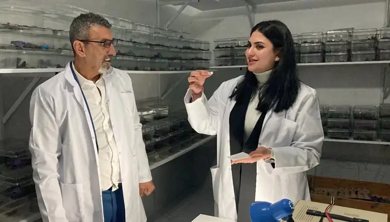 Akrep Zehrinin Şekerle İlgili Sırları: İşte Beklenmedik Yan Etkileri