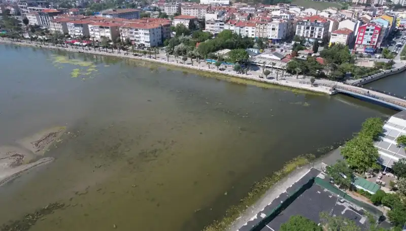 Marmara Denizi'nde Endişe Verici Değişim: Uzmanlar Uyarıyor
