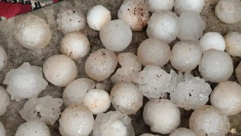 Şanlıurfa'da Kar Topu Büyüklüğünde Dolu Yağışı Herkesi Şaşırttı!