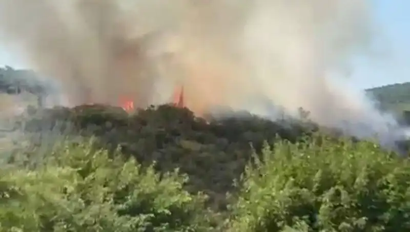 İstanbul'da Orman Yangını: Güvenlik İçin Vatandaşlar Tahliye Edildi