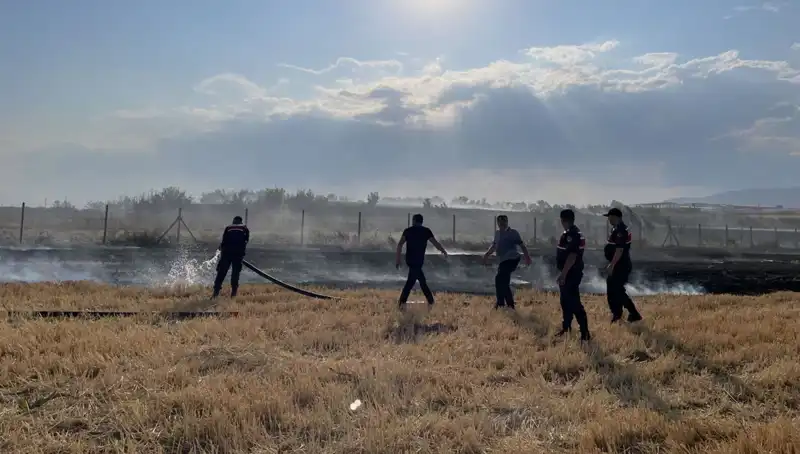 Merzifon'da Tarım Arazisi Yangını: Üreticileri Zor Günler Bekliyor