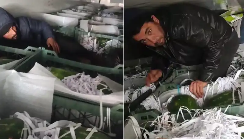 Karpuzların İçinden Çıkan Göçmenler! Ne Oluyor?