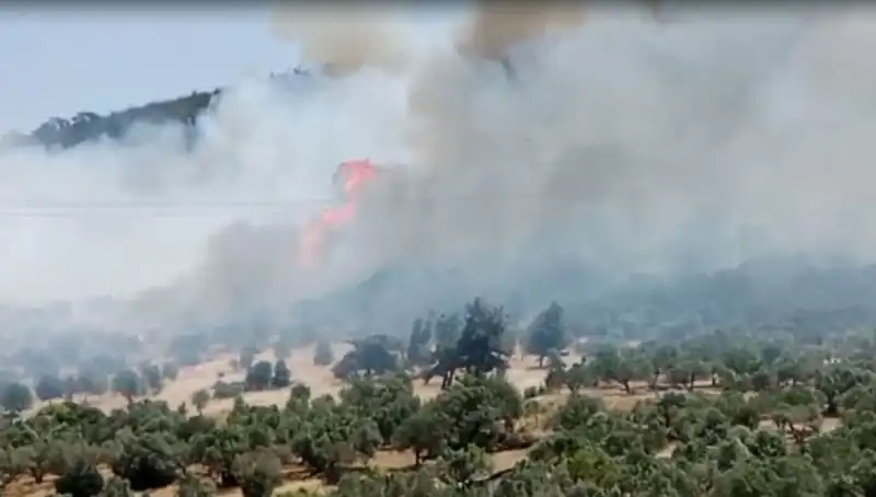 İzmir’de Dev Yangın: Ormanlar Alev Alev, Müdahale Ekipleri Seferber Oldu!