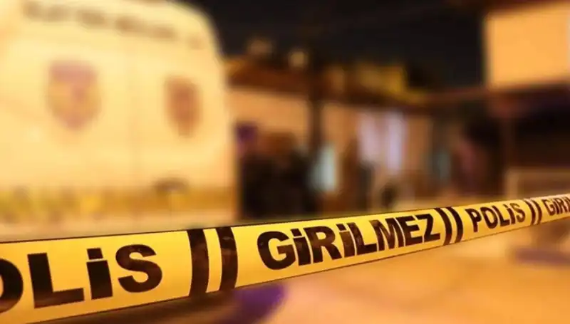 Diyarbakır'da Kayınpeder Katili: Dehşet Verici Olayın Ayrıntıları