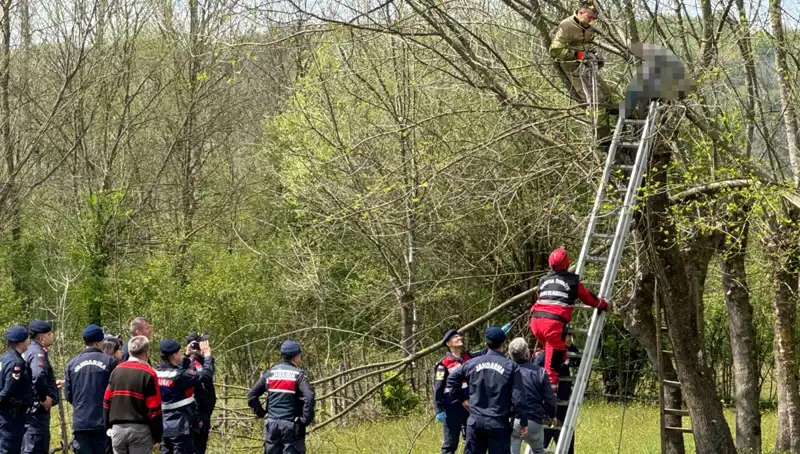 Bir Ağaç Budama İşlemi Sonrası Kalp Krizi: Hayatını Kaybetti