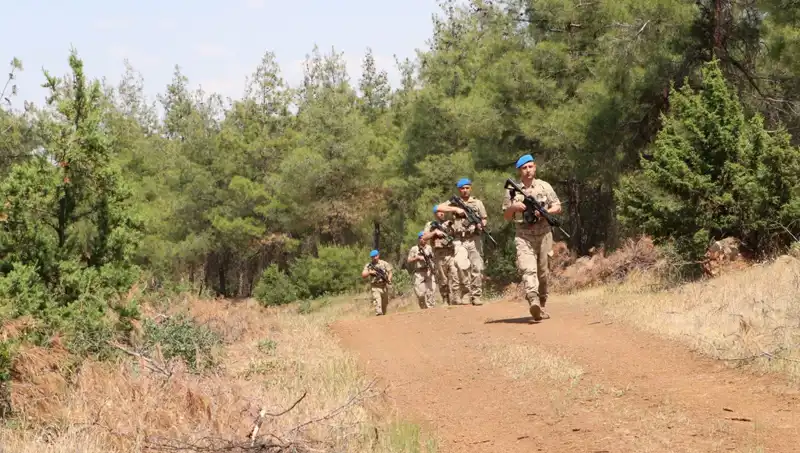 Kilis’te Yangın Kontrol Altında: Ormanlar için Acil Önlemler Alındı
