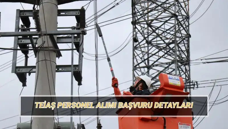 TEİAŞ Personel Alımı 2023: Başvuru Tarihleri ve Şartları Neler?