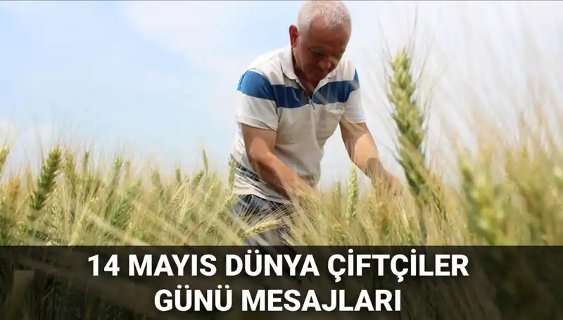14 Mayıs Dünya Çiftçiler Günü: Çiftçilerin Emeğini Anlamak ve Kutlamak