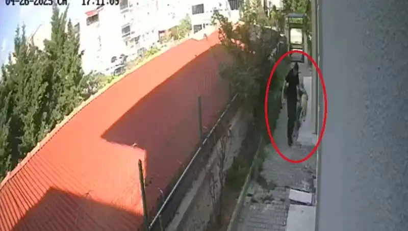 Bakıma Muhtaç Hayvanlara Duyarsızlık: Doktordan Şok Edici Eylem