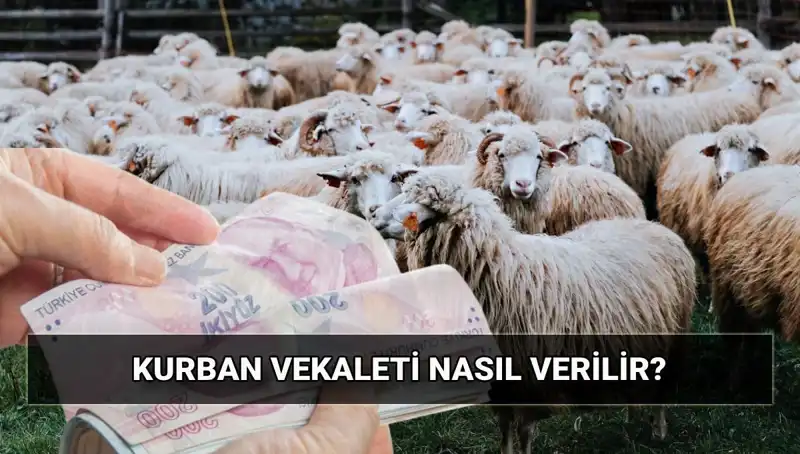 Kurban Vekaleti: Diyanet'in 2025 Bedeli ve Süreci Nasıldır?