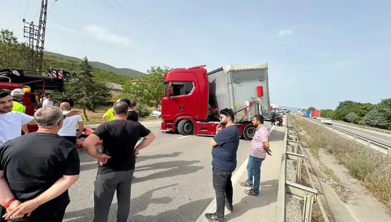 Seyir Halindeyken Arı Sokması: Trafikte Yaşanan Şok Edici Anlar