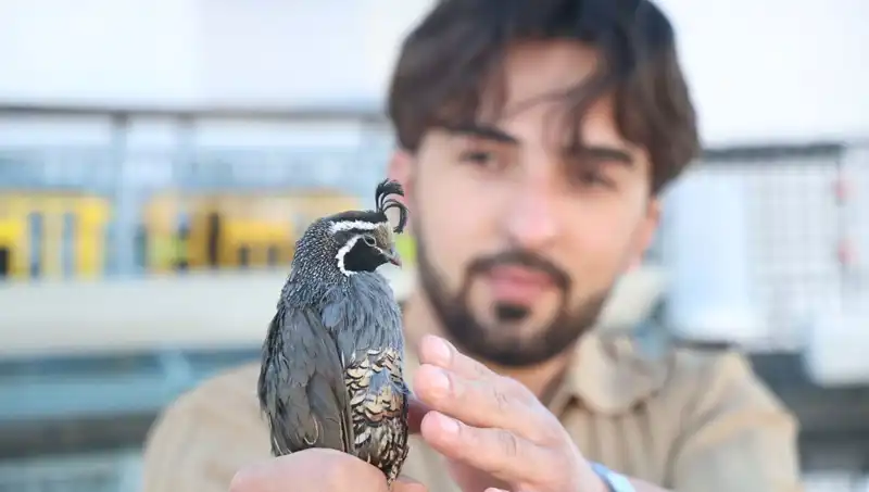 Türkiye’deki Üniversite Öğrencisi, ABD İçin Sipariş Verip Kendi Çiftliğini Kurdu
