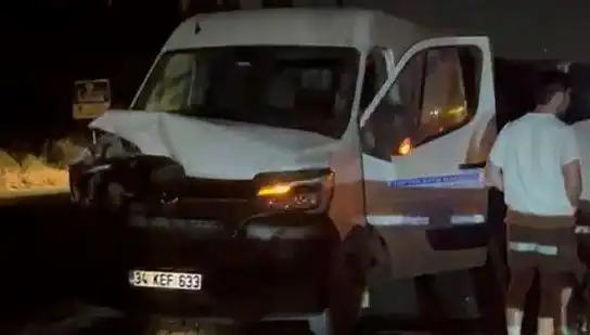 İstanbul'da Manda Kazasına Alev Alev Yanan Bir Gün: Üç Yaralı