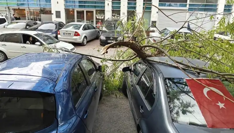 Kayseri'de Dalları Kıran Fırtına: Doğa'nın Öfkesi Şehri Sarsıyor