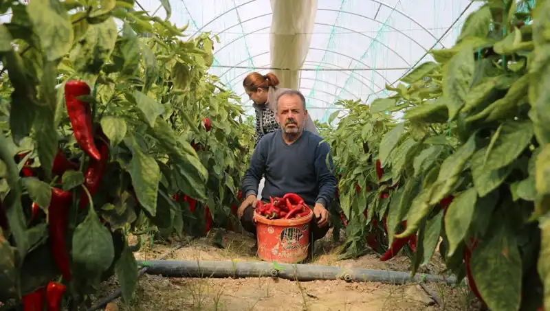 Fiyatlar Arasındaki Şaşırtıcı Fark: 50 TL'den 80 TL'ye Yükseldi!