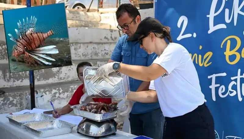 Antalya'da İstilacı Aslan Balığı Avlama Yarışması: Denizlerin Korunması İçin Yenilikçi Bir Adım