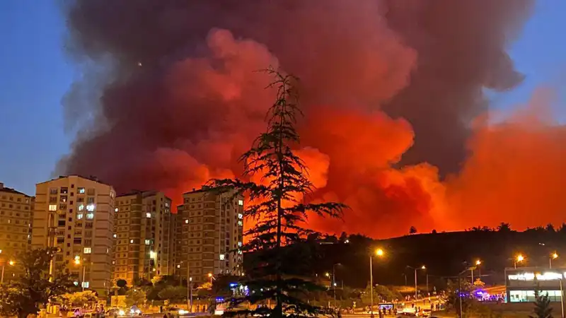 Bursa'da Yangınlar Alarm Veriyor: Şehrin Geleceği Tehlikede!