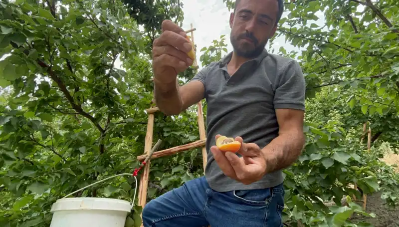 Türk Mutfaklarının Yıldızı: 50 TL ile 70 TL Arası Enfes Lezzetler