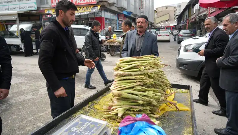 Dağlık Alanlardan Toplanan Şekerin Sağlık Faydaları: Kanser ve Mide Hastalıklarına Etkisi