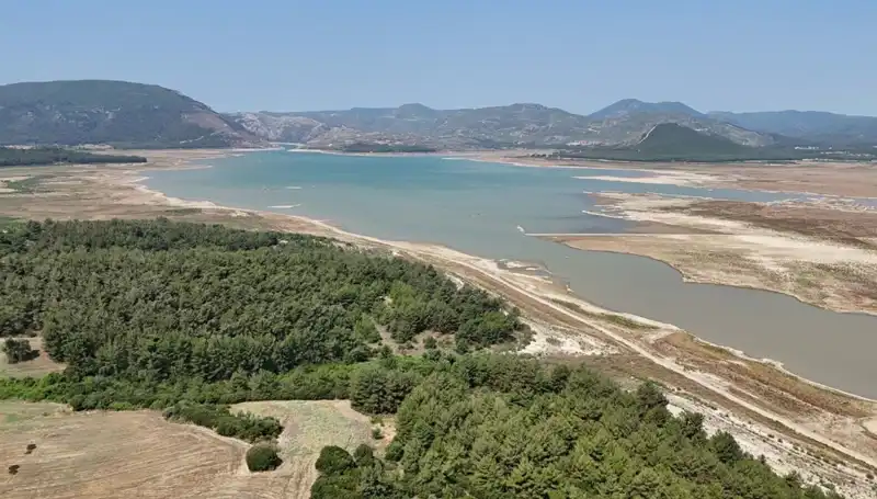 İzmir'de Uyarı: Geçen Yıla Göre Tehlikeli Düşüş Yüzde 50!